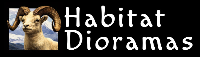 logo for Habitat Dioramas