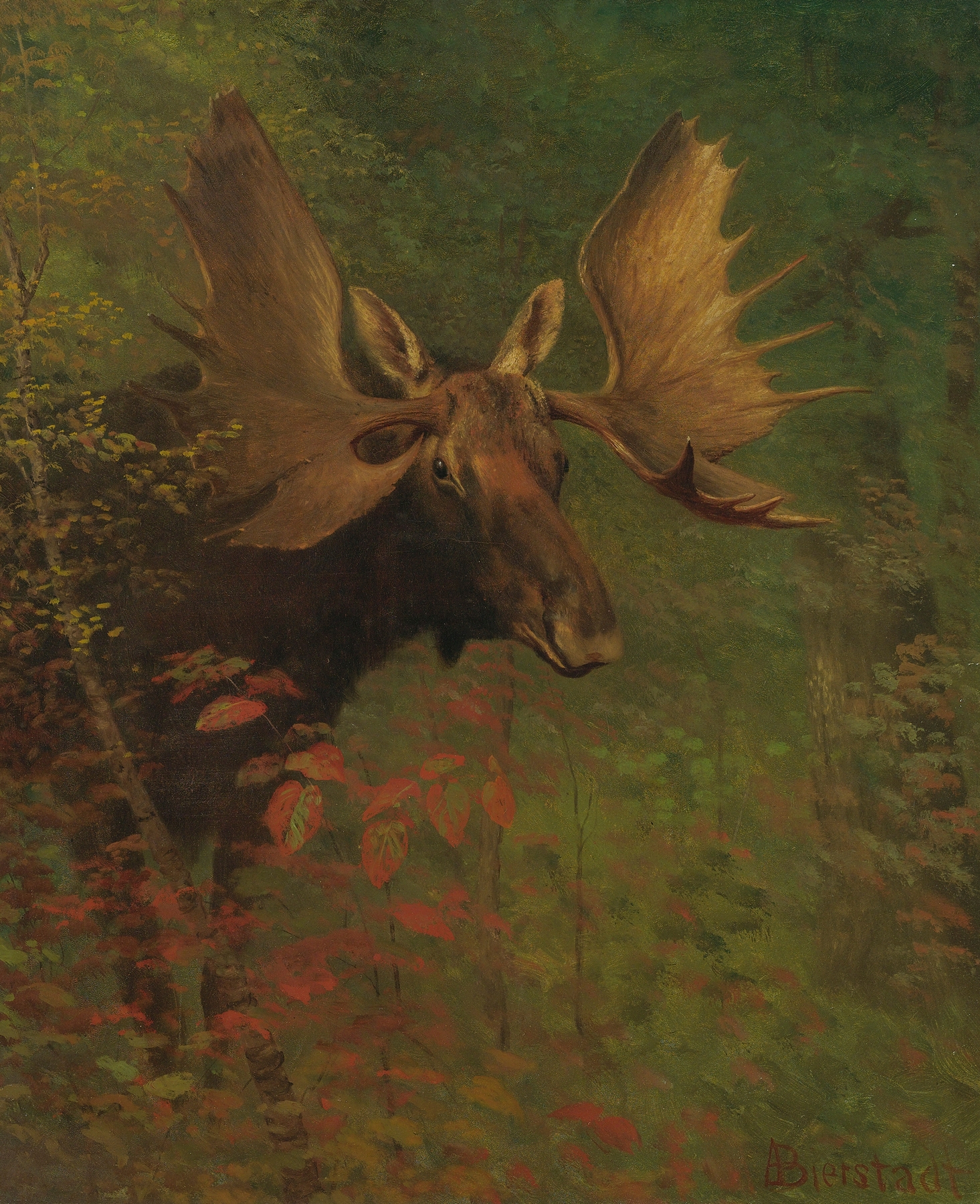Albert Bierstadt, moose painting, c. 1880
