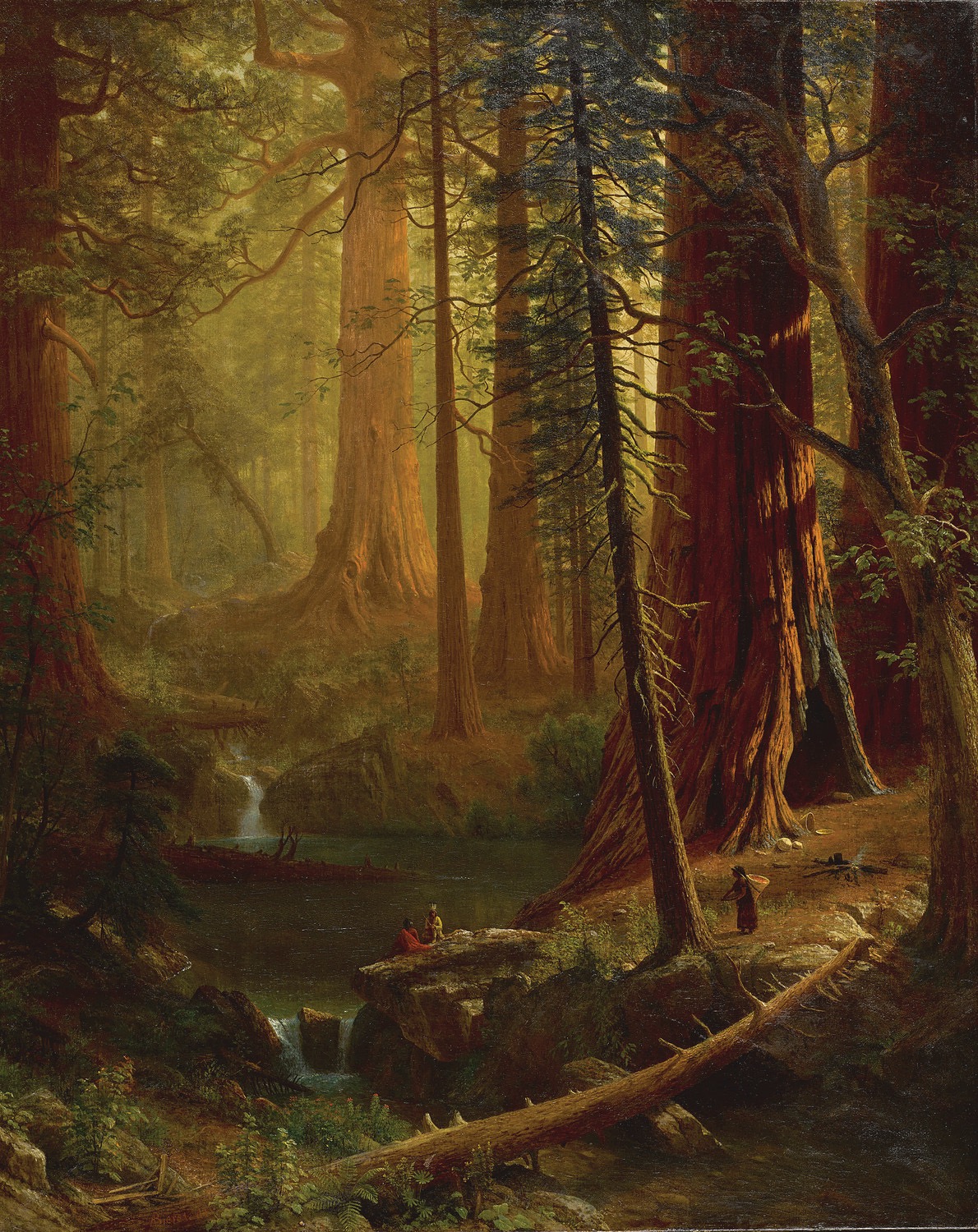 Albert Bierstadt, Redwood Forest, 1880