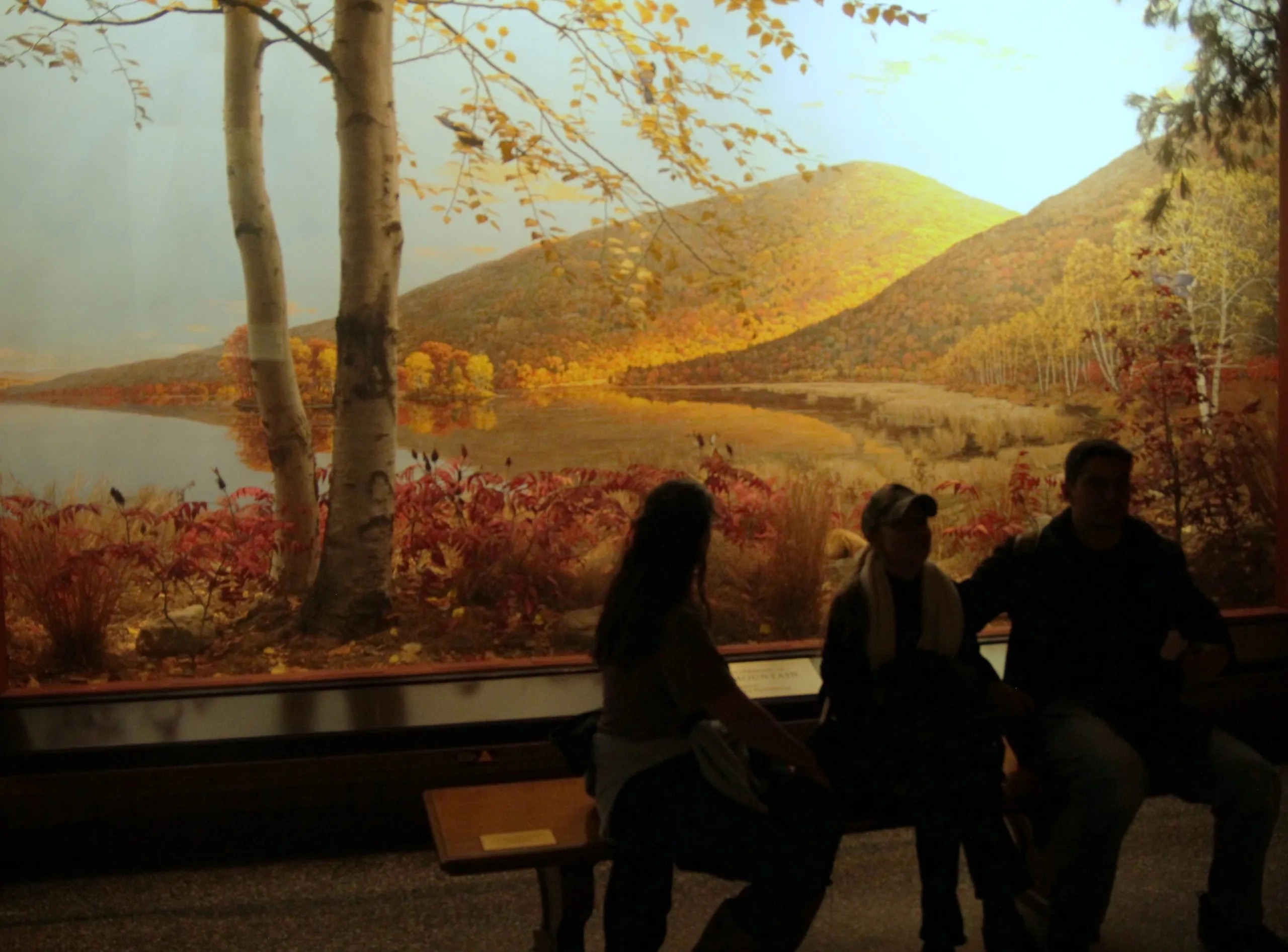 Stissing Mountain Diorama, Warburg Hall, American Museum of Natural History