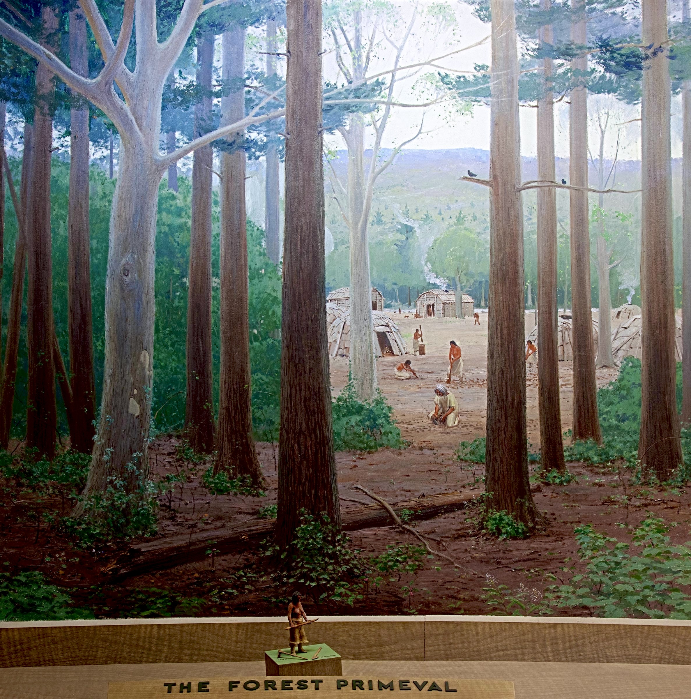 Forest Primeval, Agriculture Diorama, Warburg Hall, American Museum of Natural History