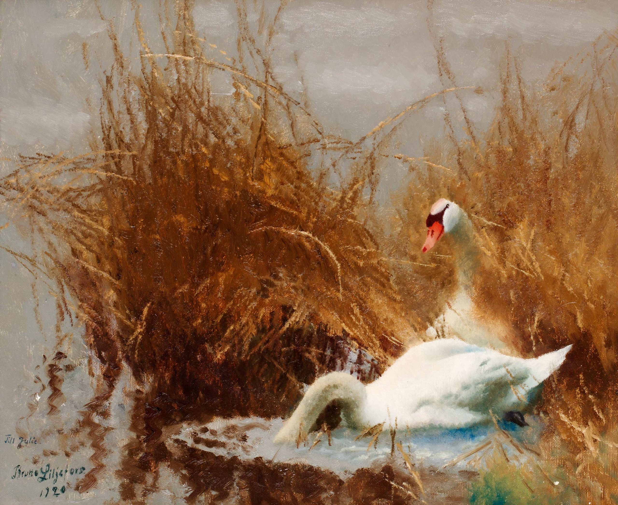 "Svanor vid strandkanten," painting by Bruno Liljefors, 1920