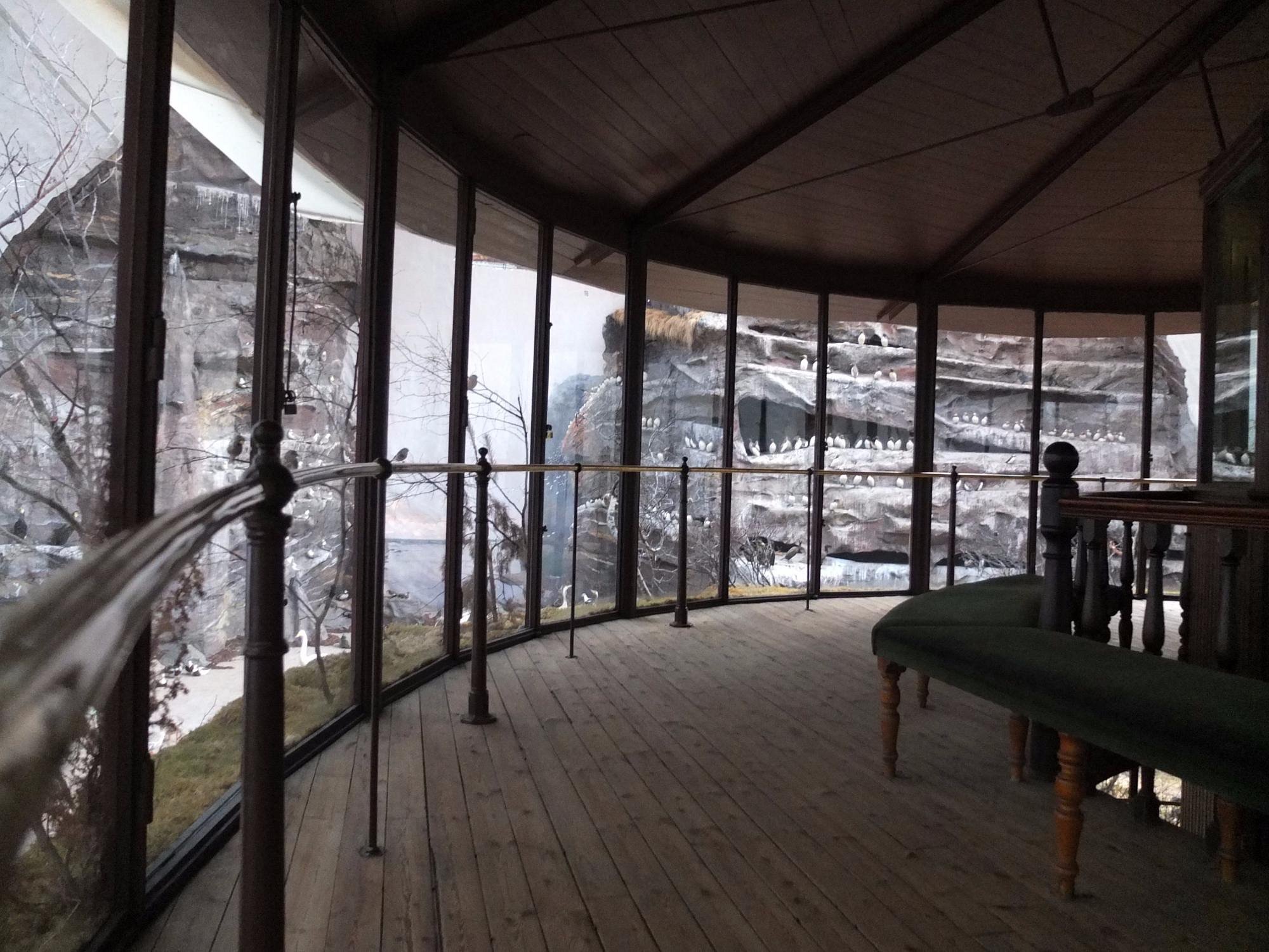 Looking out at the "Fågelberg" from the viewing rotunda in the Biologiska museet, Stockholm