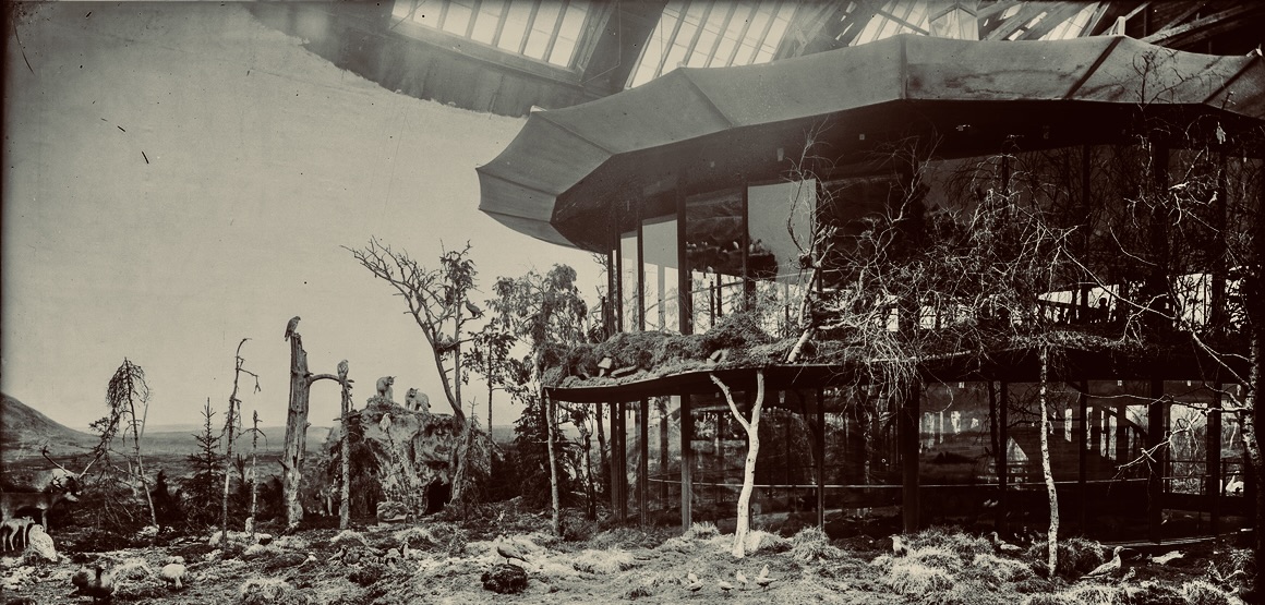 The viewing rotunda of the Biologiska museet, seen from the outside, 1900