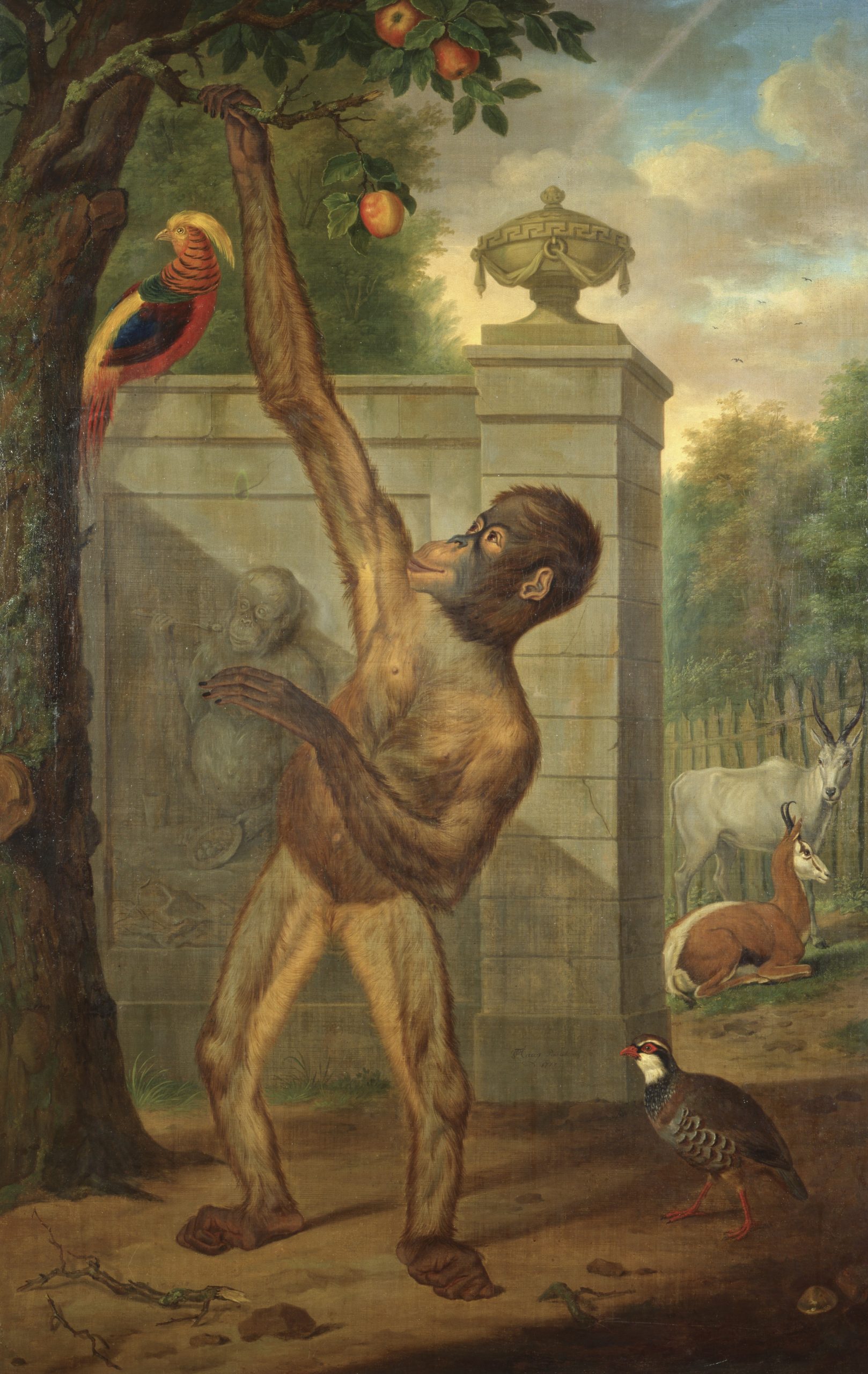 Painting of an orangutan by T.P.C. Haag, 1777