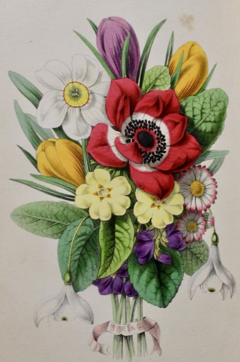 Frontispiece to "The Royal Guide to Wax Flower Modelling" (1851) by Mrs. Peachey