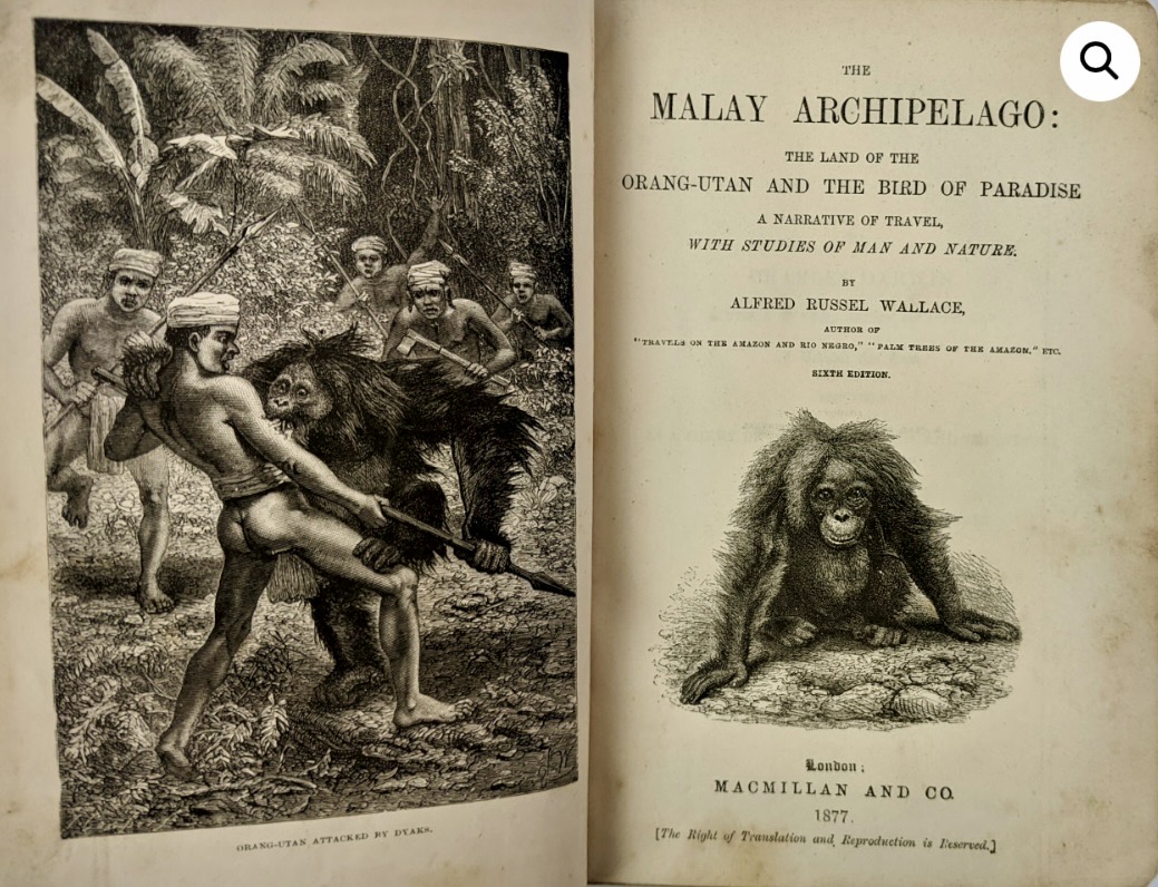 "The Malay Archipelago," by Wallace, 1869