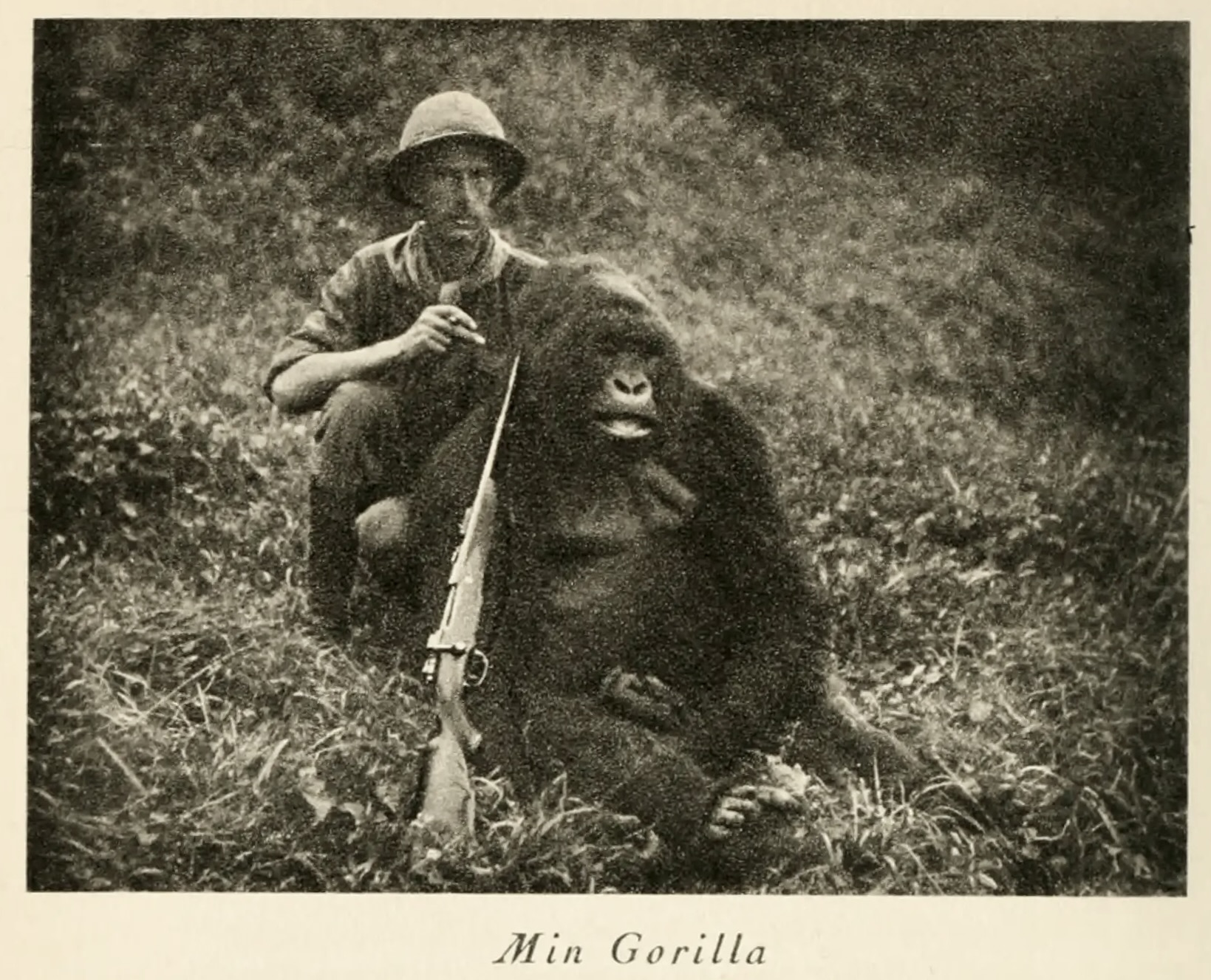 "Min Gorilla," in Prince Wilhelm, 1921
