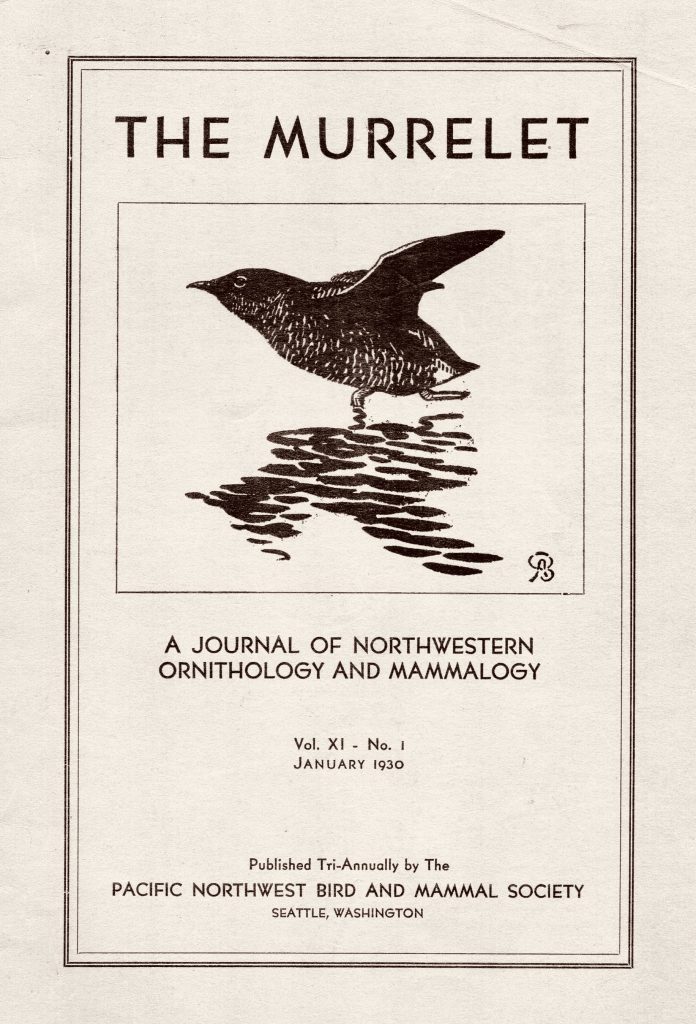 "The Murrelet," ornithological journal, established in 1920