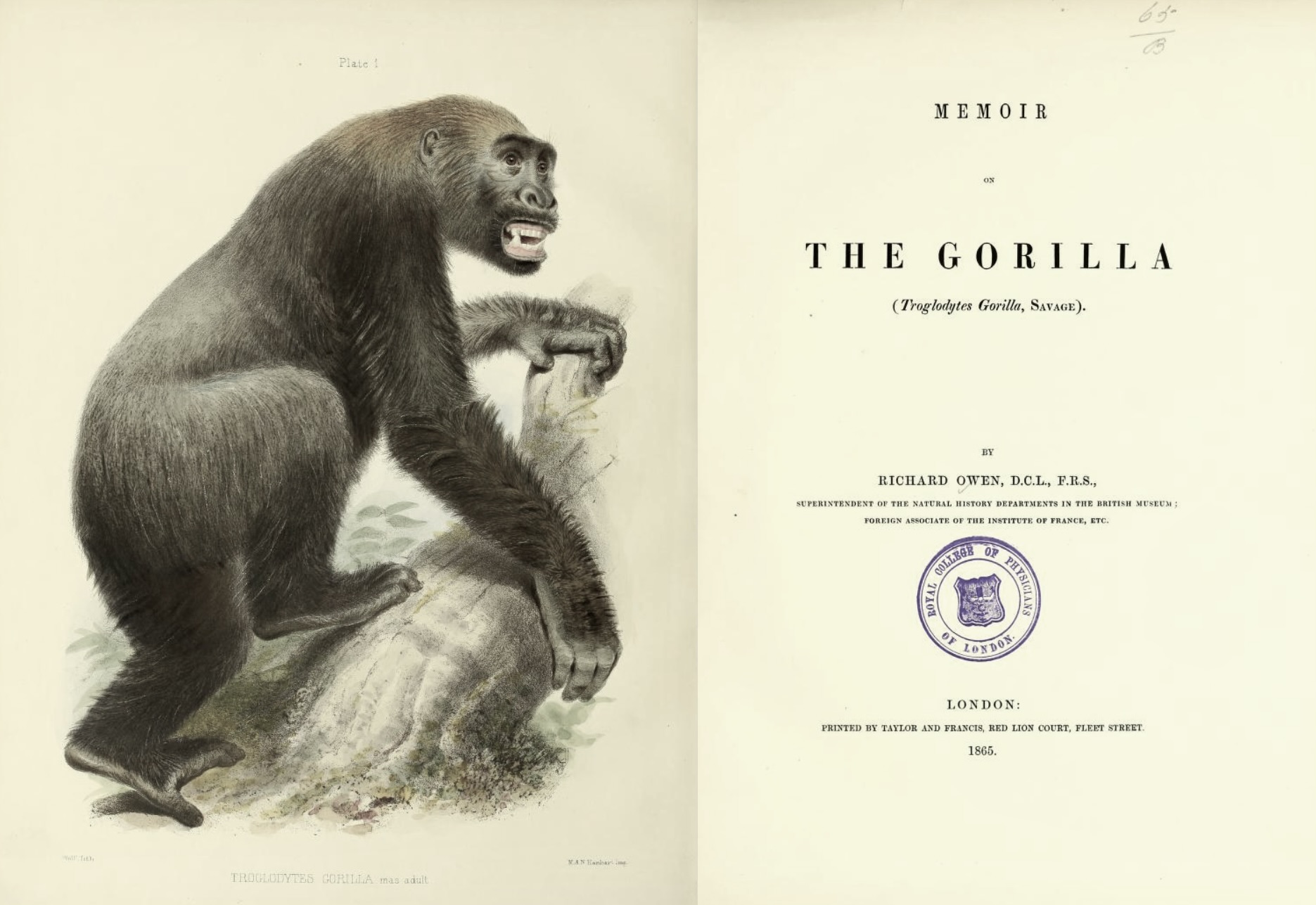 "Memoir of the Gorilla," Richard Owen, 1866