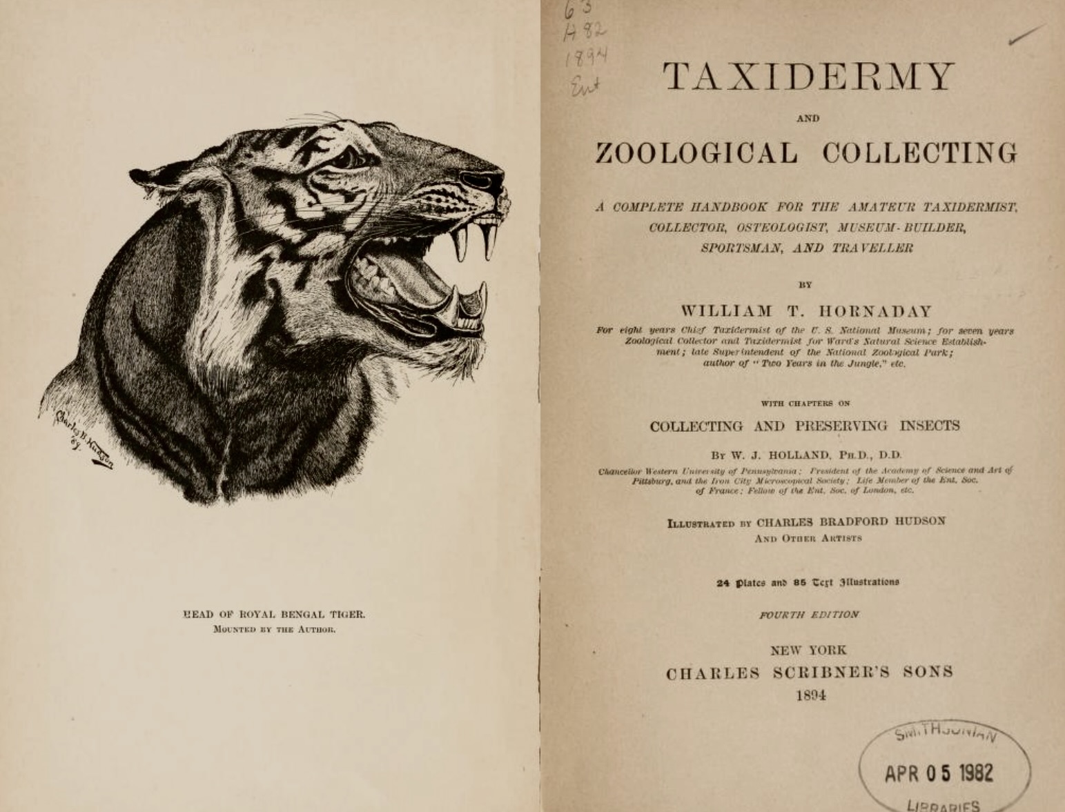 "Taxidermy," by William Hornaday, 1884