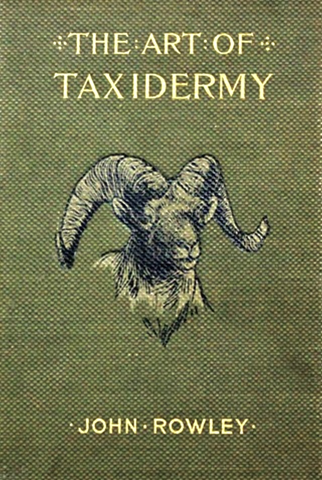 The Art of Taxidermy by John Rowley, 1898