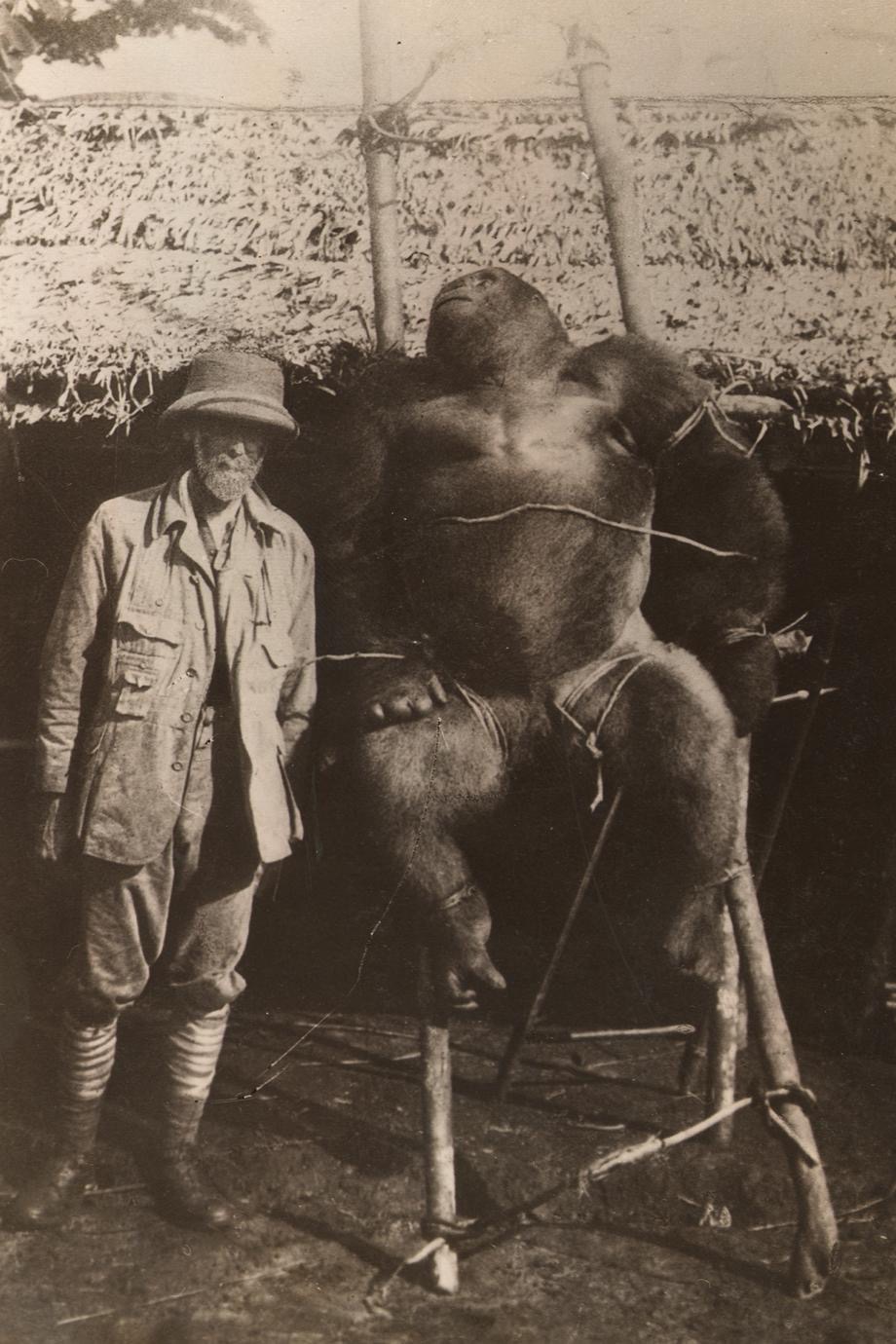 Major Powell Cotton with his gorilla trophy
