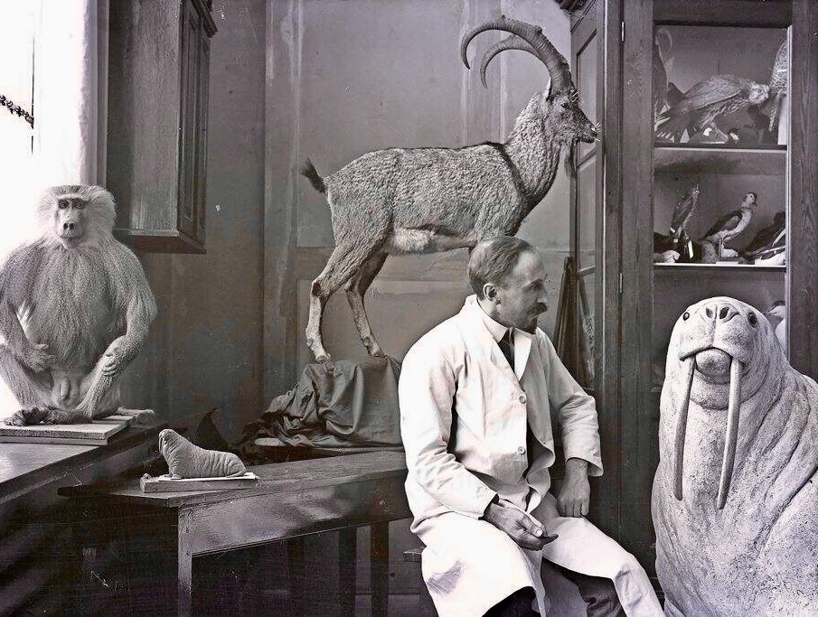 Herman ter Meer, Leipzig, 1928