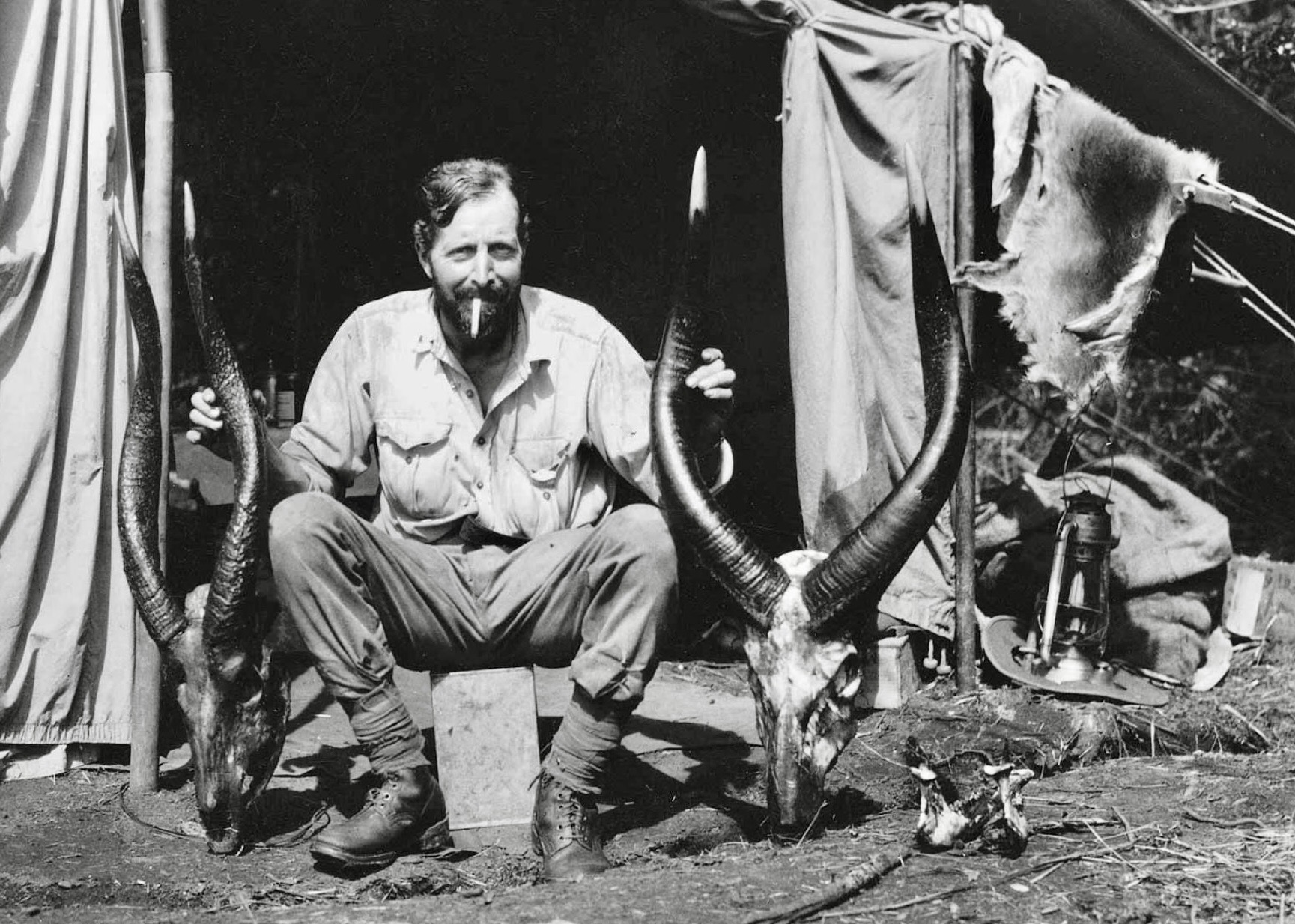 von Wattenwyl with two Bongo trophies, 1923