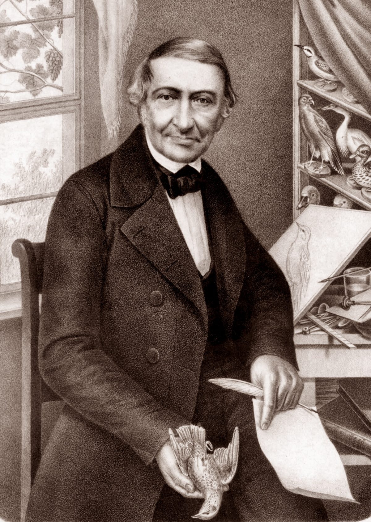 Johann Friedrich Naumann, 1856