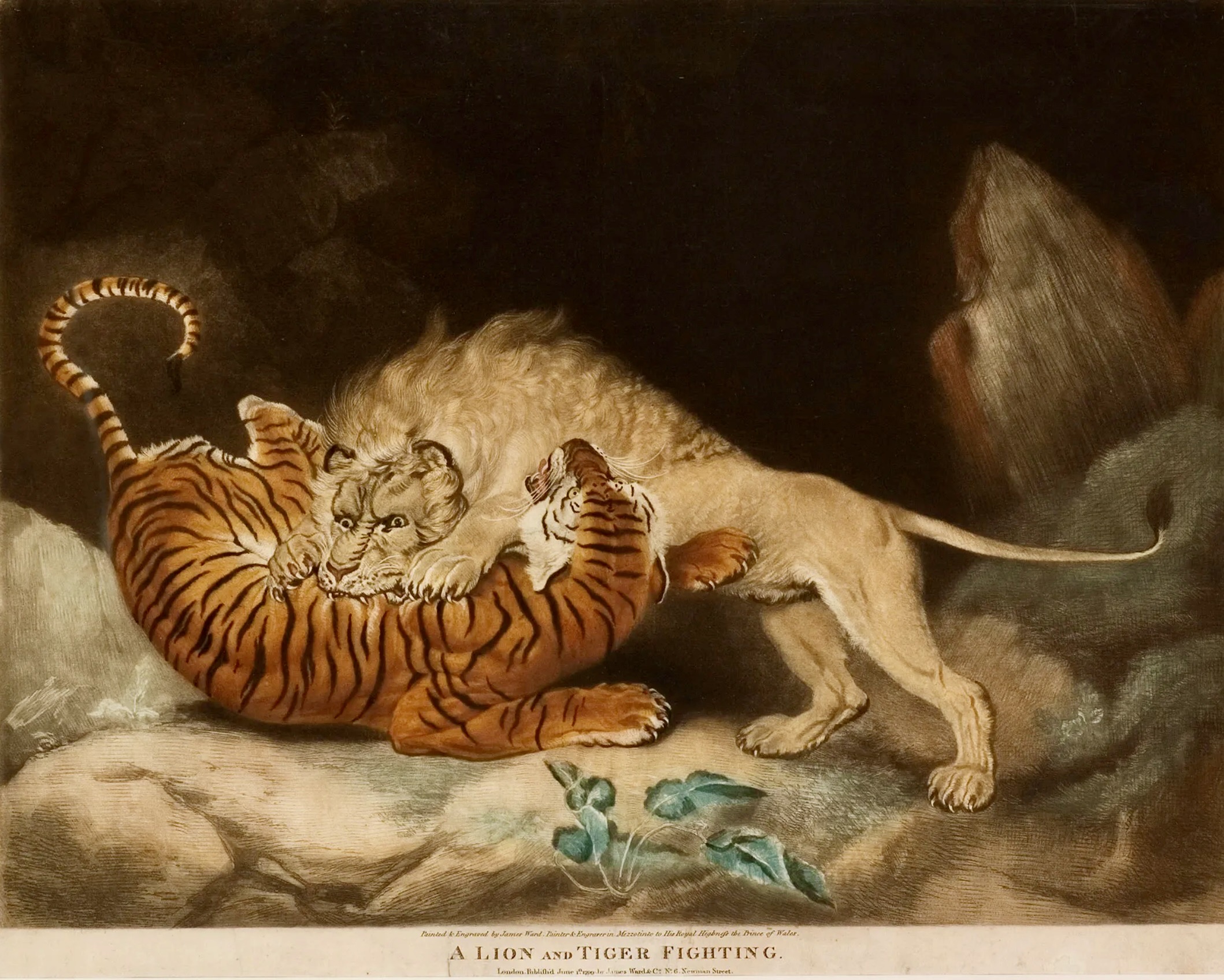 "A Lion and Tiger Fighting," by James Ward, 1797