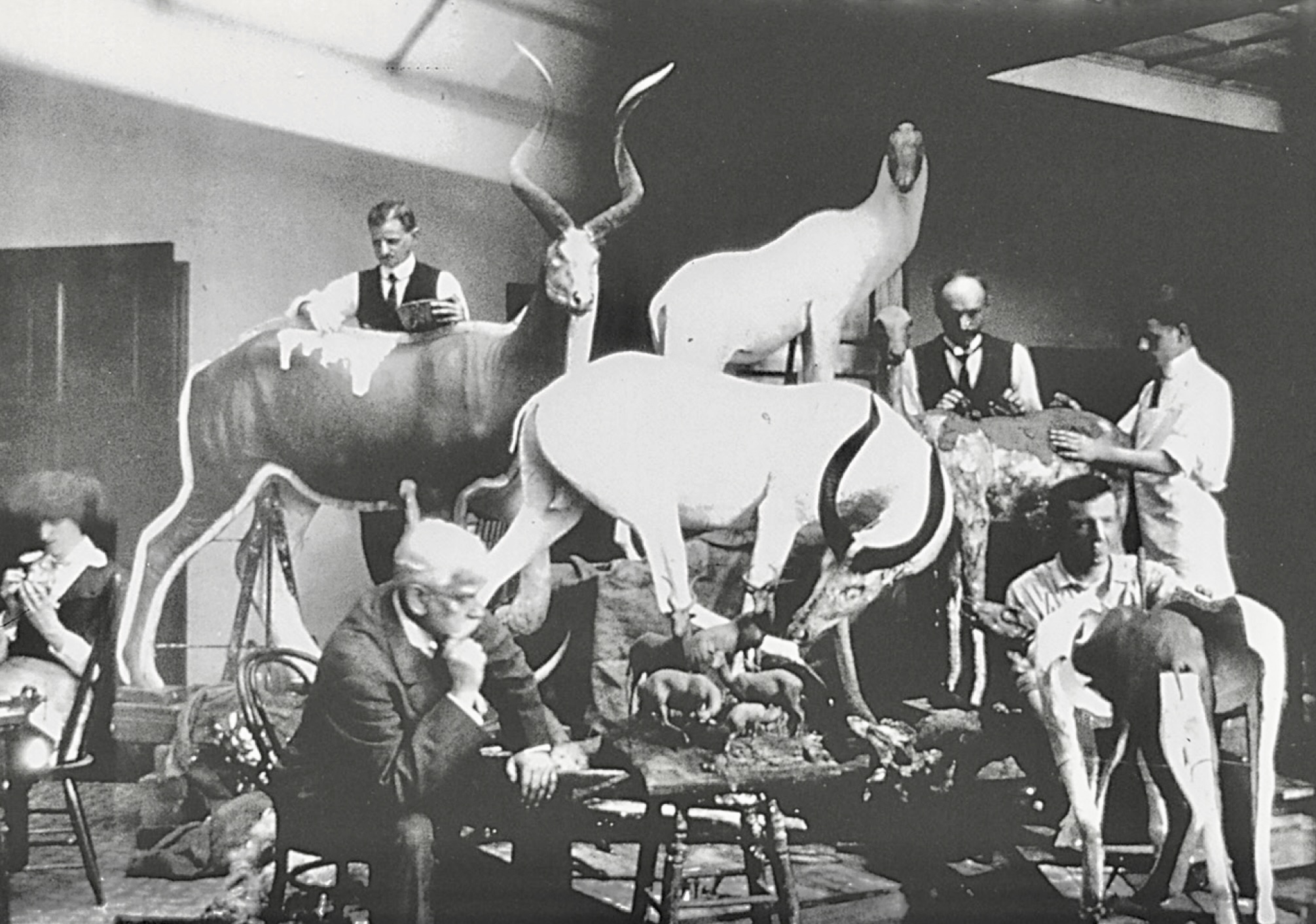 Taxidermy studio, Carnegie Museum, c. 1916