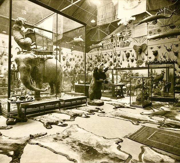 Duc d’Orléans Museum, Wood Norton