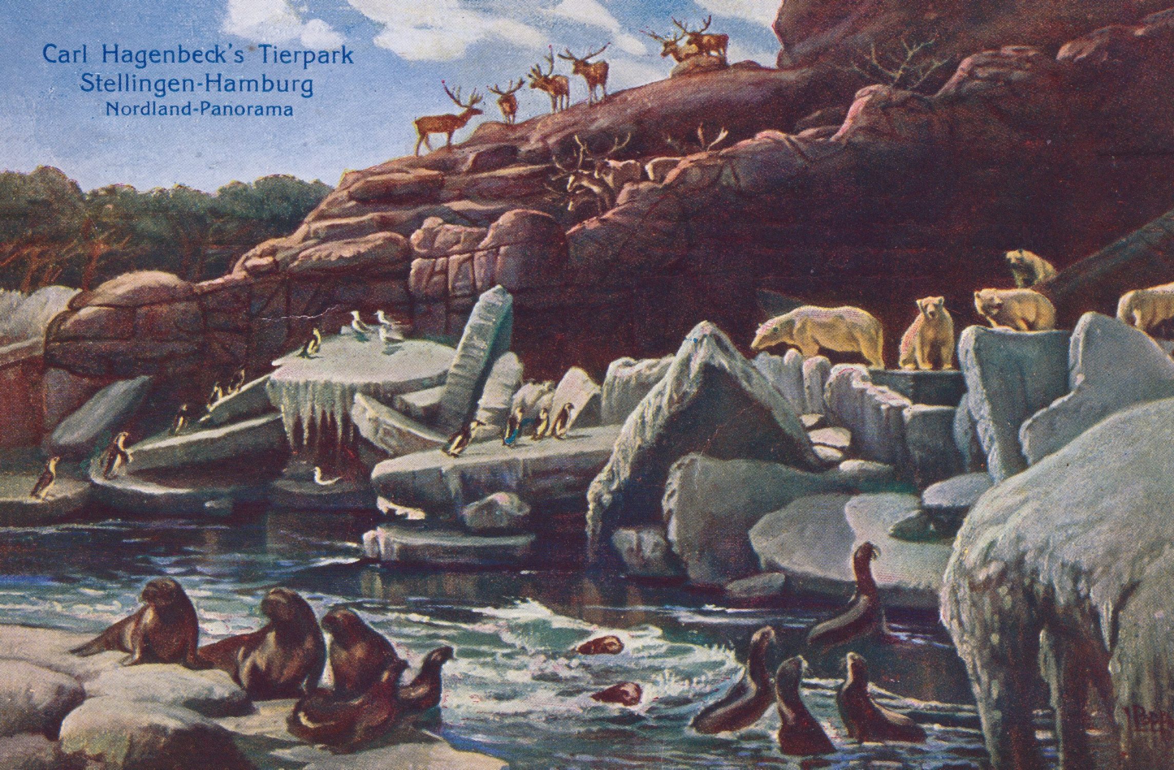 Nordland Panorama, Hagenbeck's Tierpark