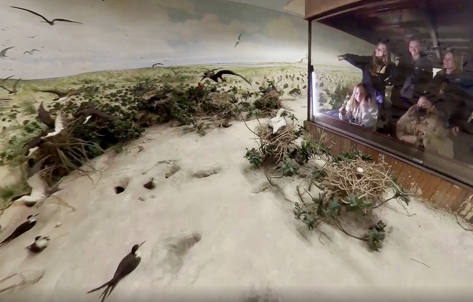 Laysan Island Cyclorama, observation room