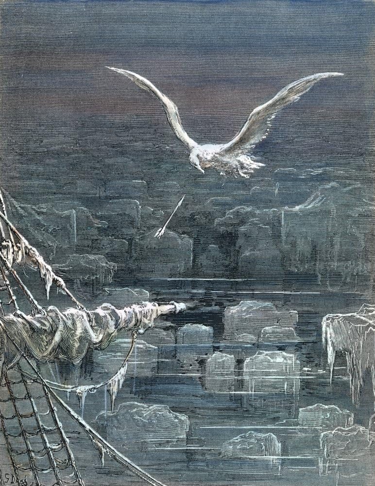 Albatross engraving by Gustave Doré