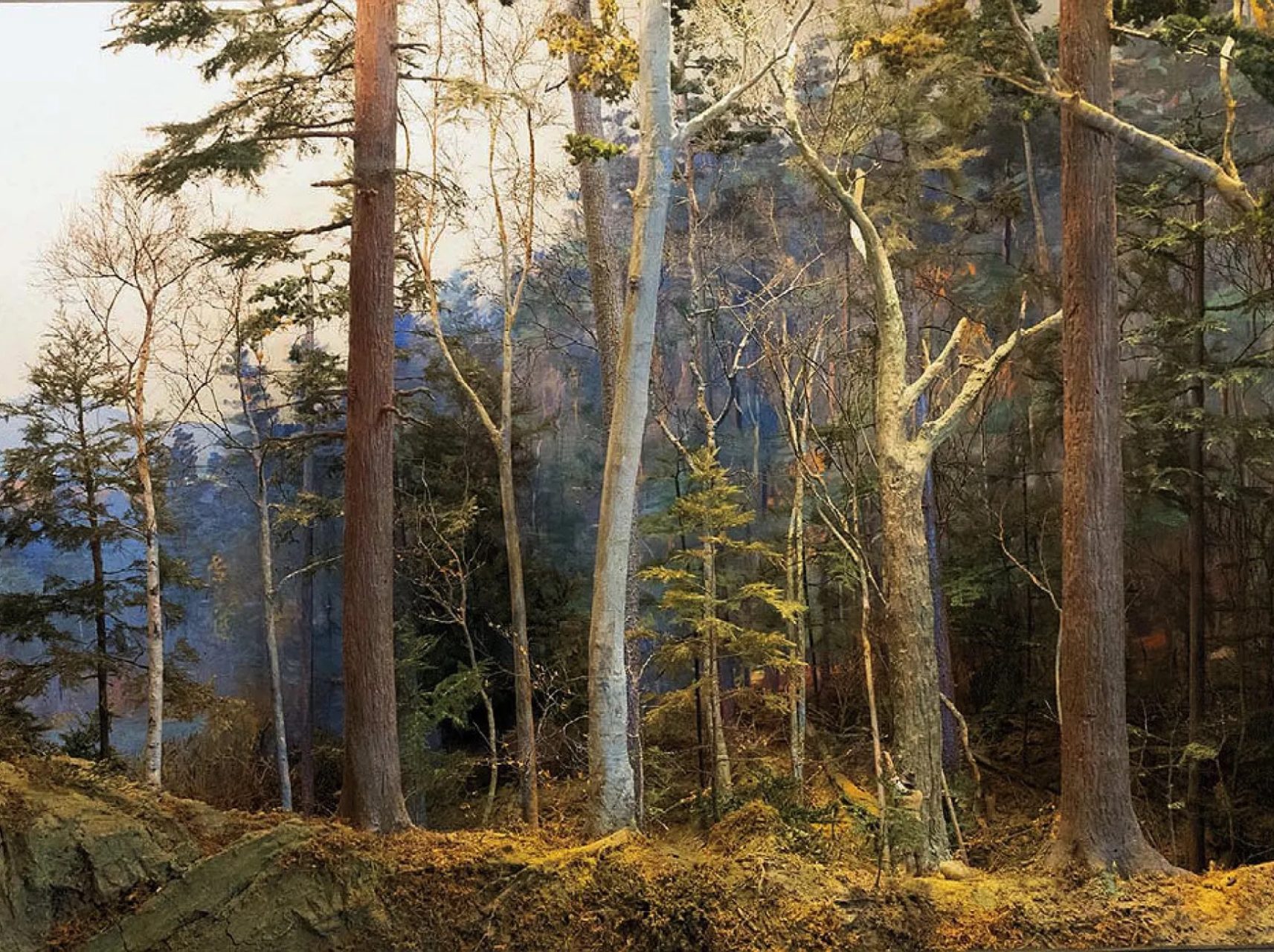 Harvard Forest Diorama