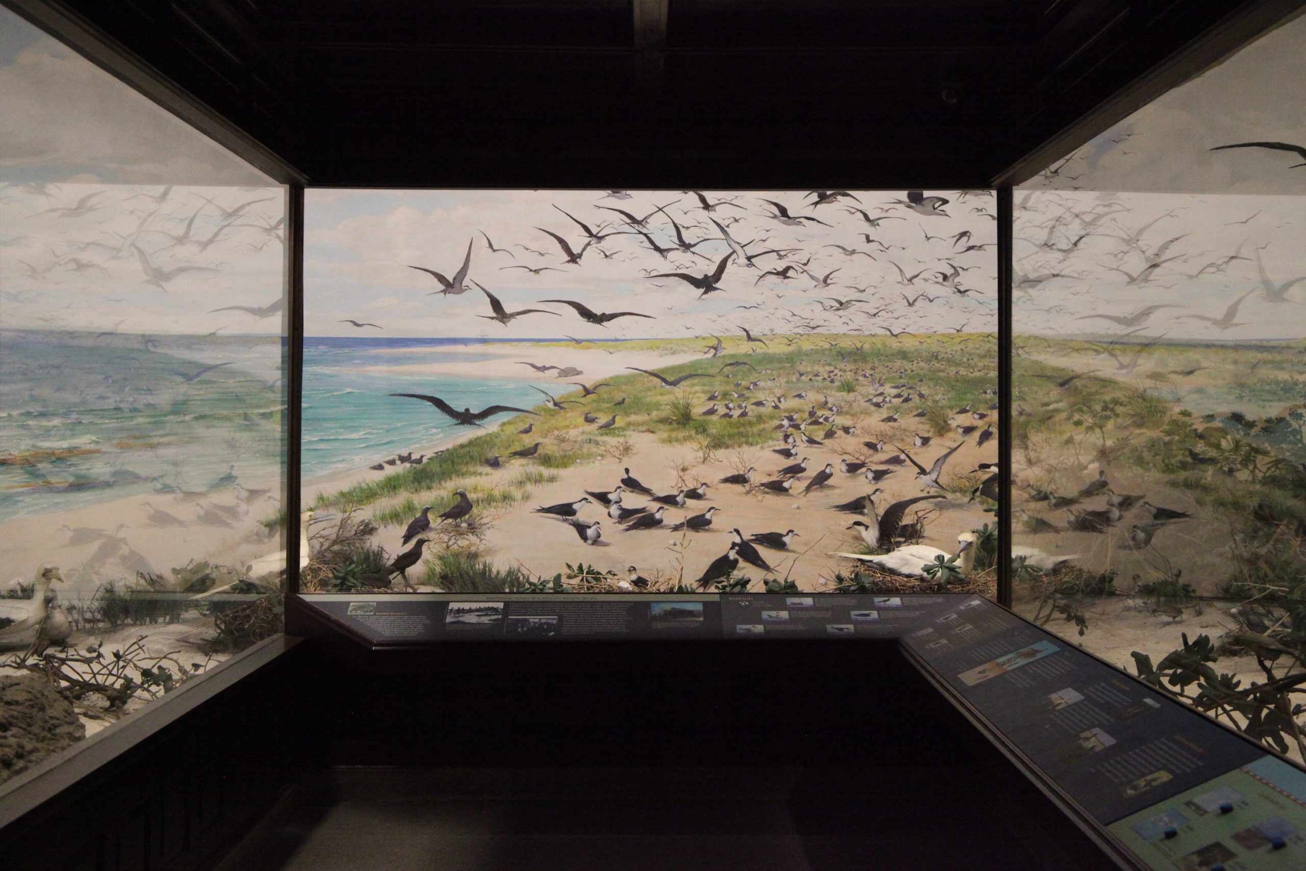 Laysan Island Cyclorama observation room