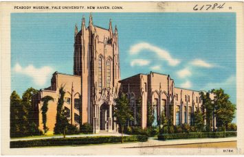 Yale Peabody Museum of Natural History