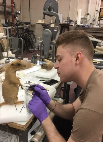 Colin Moret Preparator, Yale Peabody Museum of Natural History